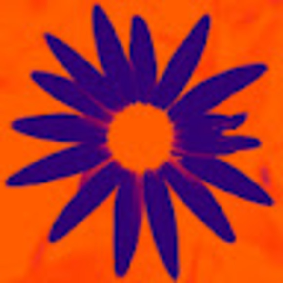 Meet your Posher, Rob - Picture 1 of 1